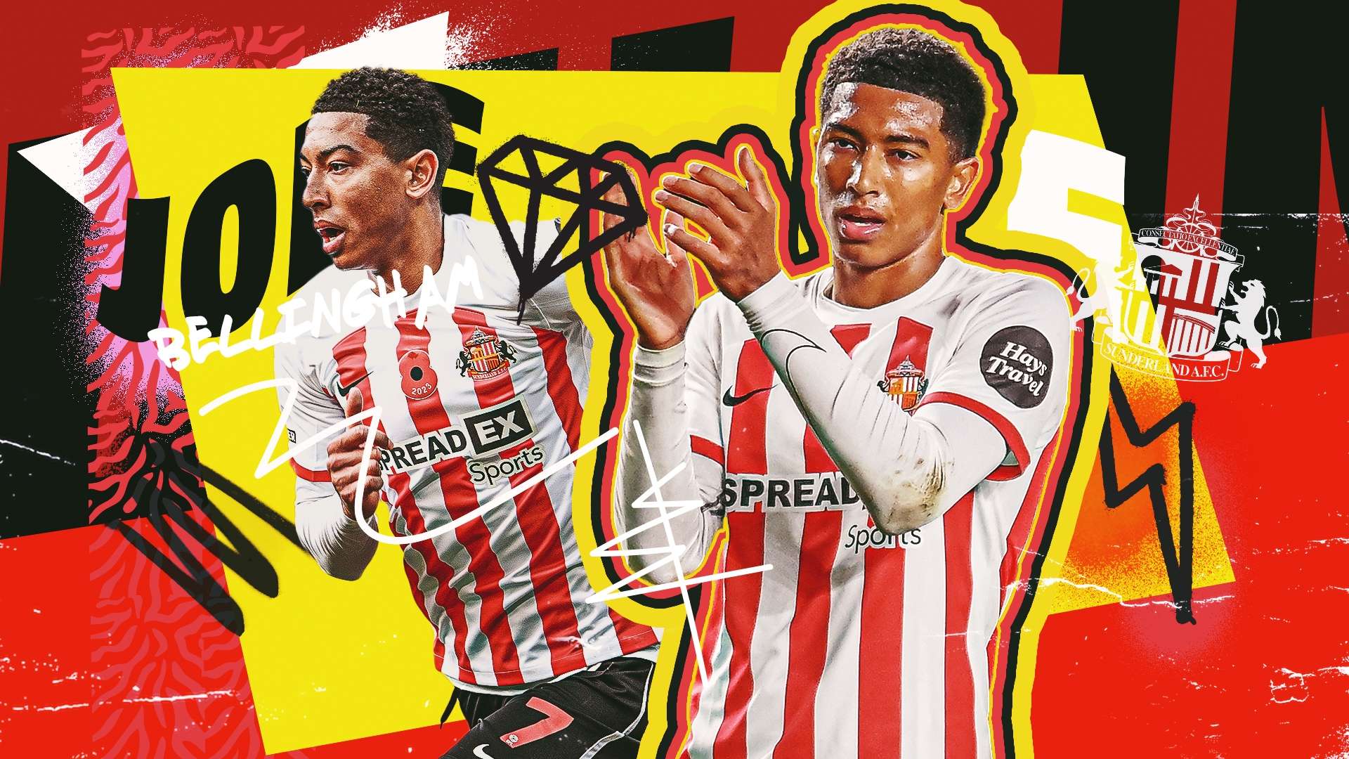 或许还需要 或许还需要